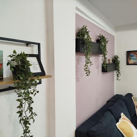 Apartment Jazbina Пула Экстерьер фото